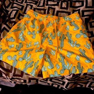 Men’s cactus swimming trunks